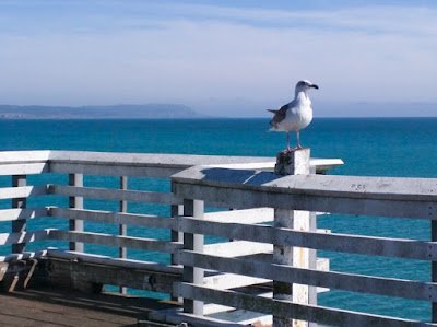 Why I Write, Part 1 (or, Knowing God’s Specific Plan for Our Lives)