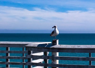Why I Write, Part 2 (or, Knowing God Will Bless Our Work)