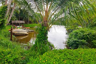 Boats docked at a river cove with lush greenery surrounding the area