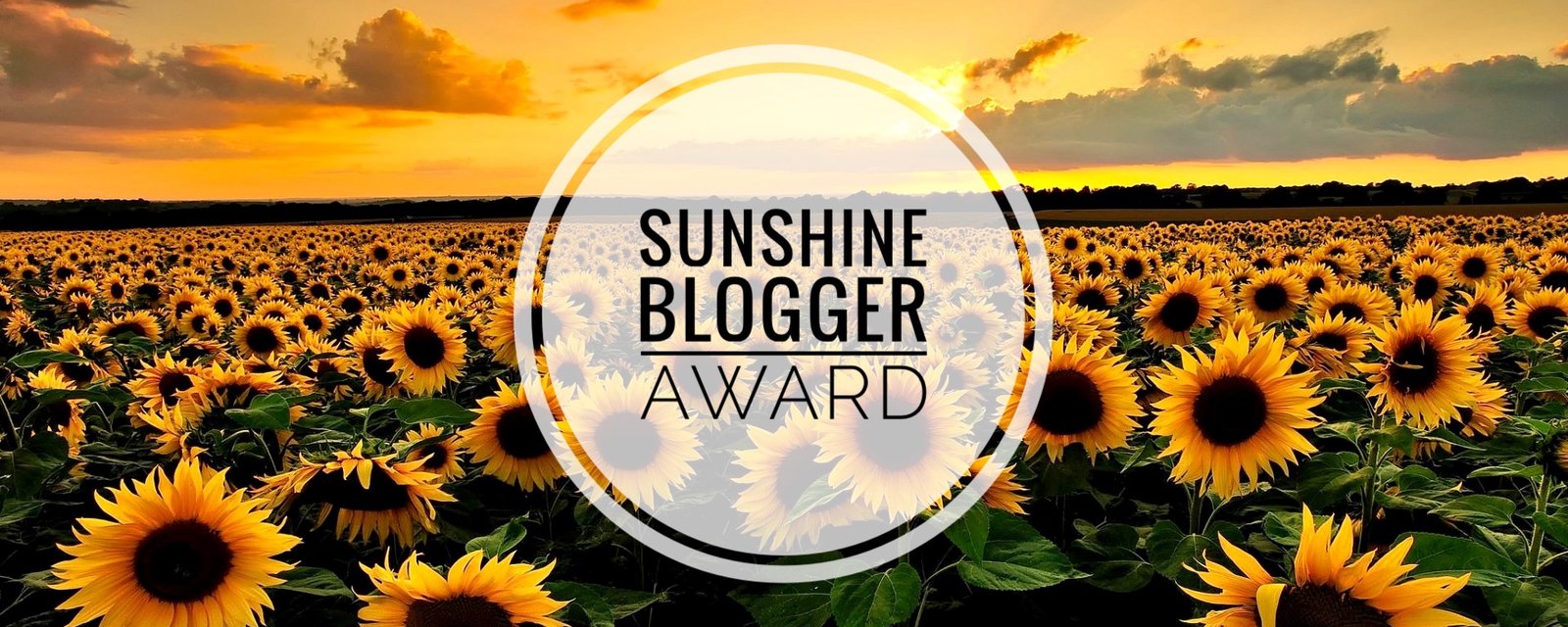 Inumerous sunflowers in a field at sunset which is the image used to indicate the Sunshine Blogger Award