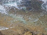 Tide waters covering hard-packed sand and kelp meandering through crevices in the sand
