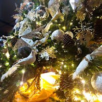 Christmas Tree Trimmed
