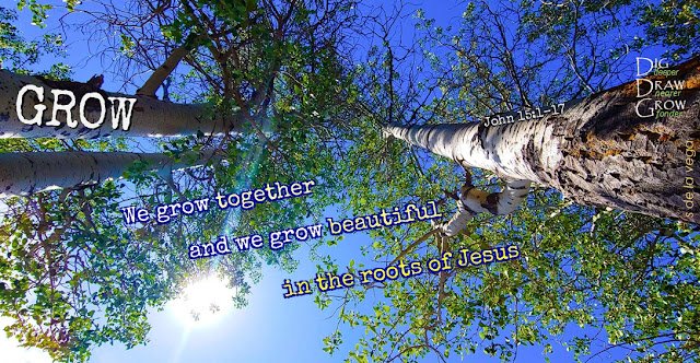 Grow Looking up into aspen tree tops reaching to the sky, full of leaves; text in picture reads Grow: We grow together and we grow beautiful in the roots of Jesus