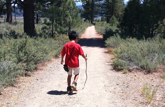 Journey to ResolveResolution 10: Trust God’s Ways