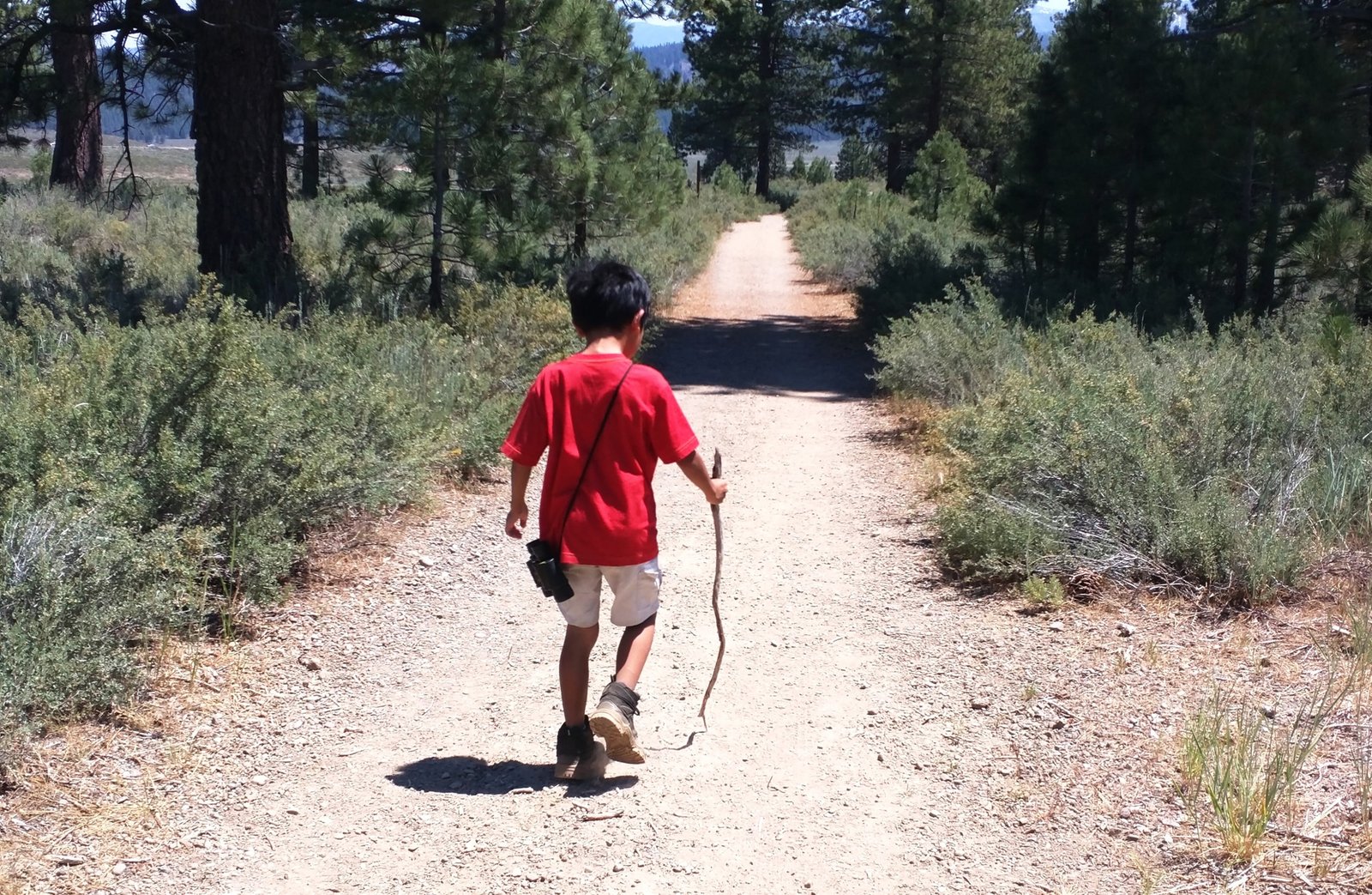 Journey to ResolveResolution 10: Trust God’s Ways