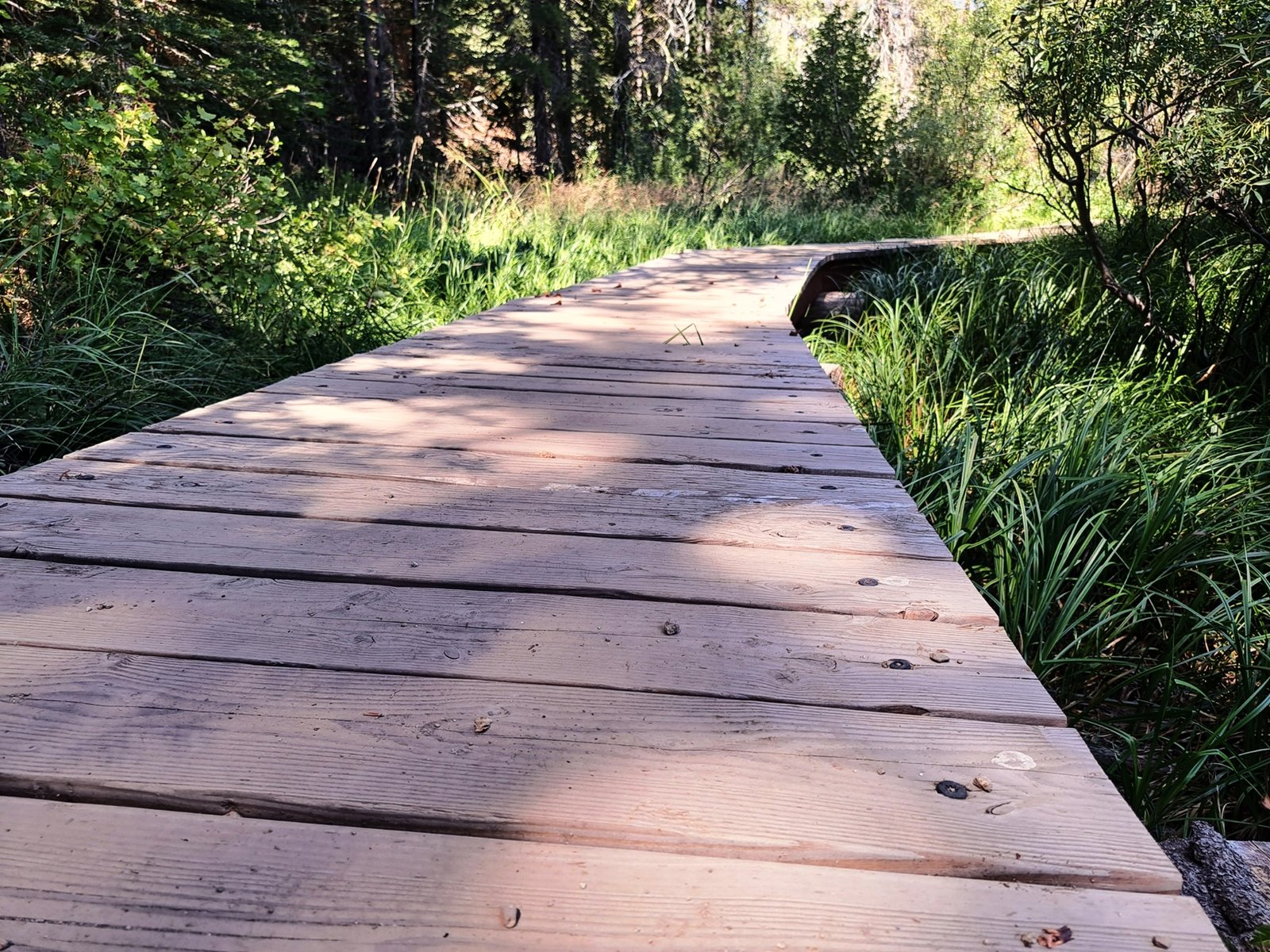 Journey to ResolveResolution 14: Trust the Words of My Savior