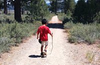 Boy Walking on Path
